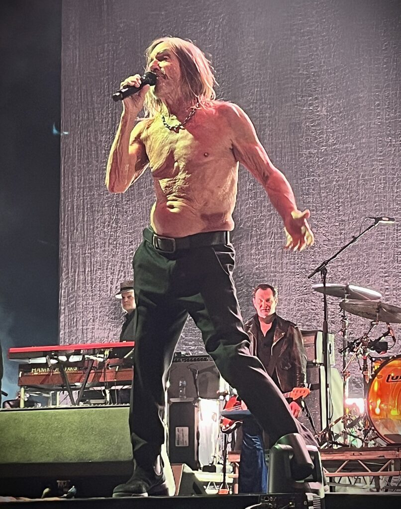 Iggy Pop 3