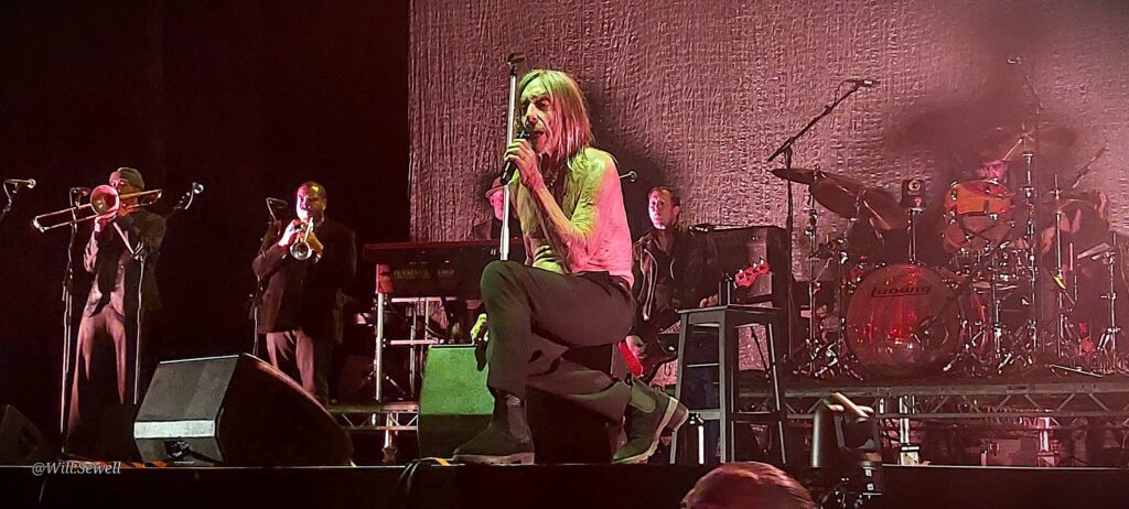 Iggy Pop by Will 3