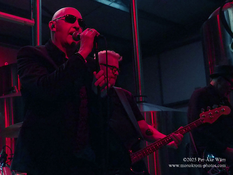 The Rose of Avalanche at Signature Brew Walthamstow 2025 - photo © Per-Åke Wärn