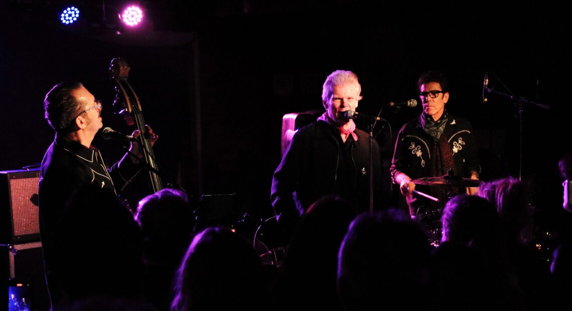 Star Cat in Reading Feb 2026 main - photo by Ian Ladlow.jpg