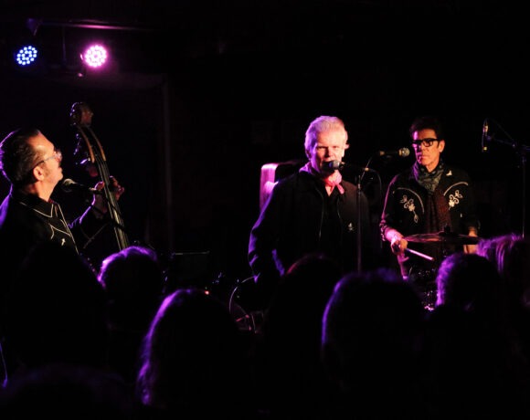 Star Cat in Reading Feb 2026 main - photo by Ian Ladlow.jpg