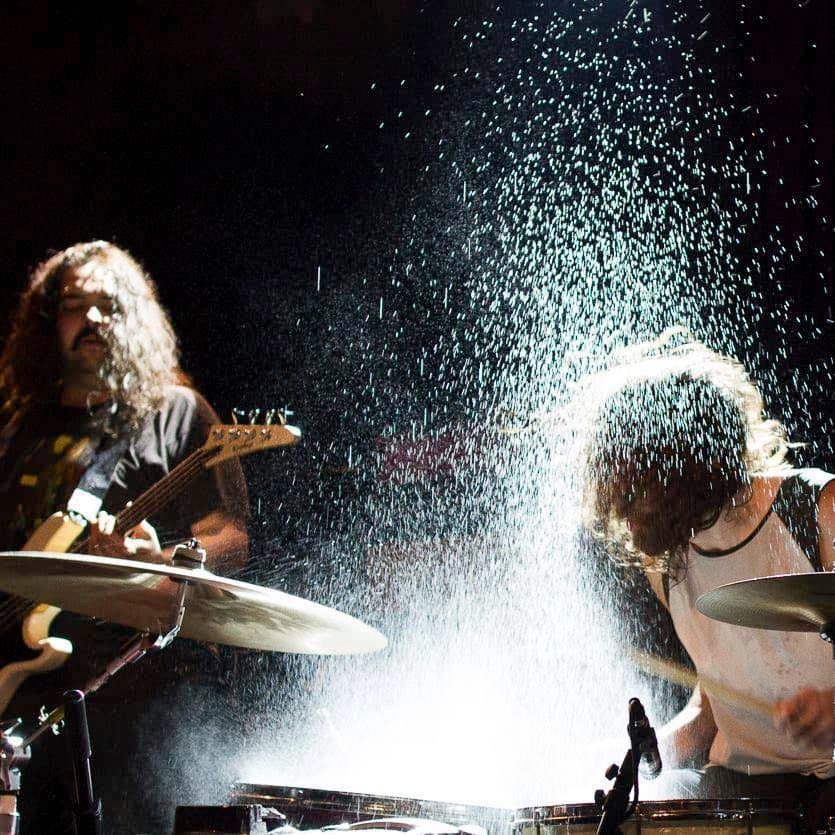 American Sharks live