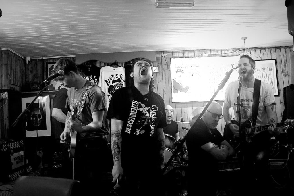 News For Parrots band 2