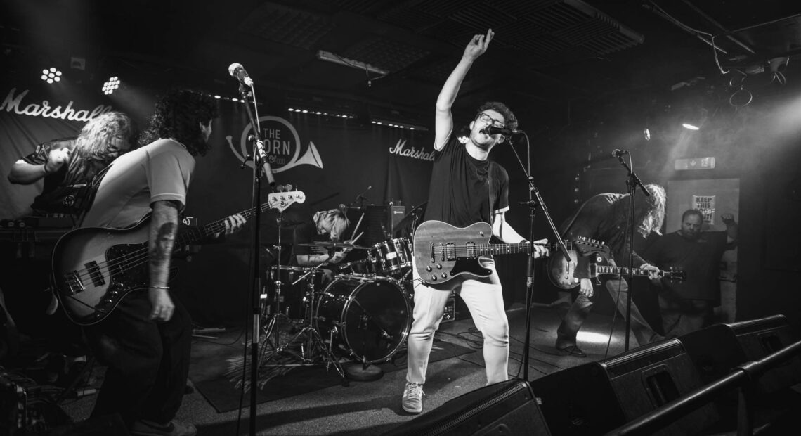 Vigilantes Live