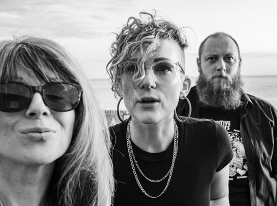 Gulls band mono