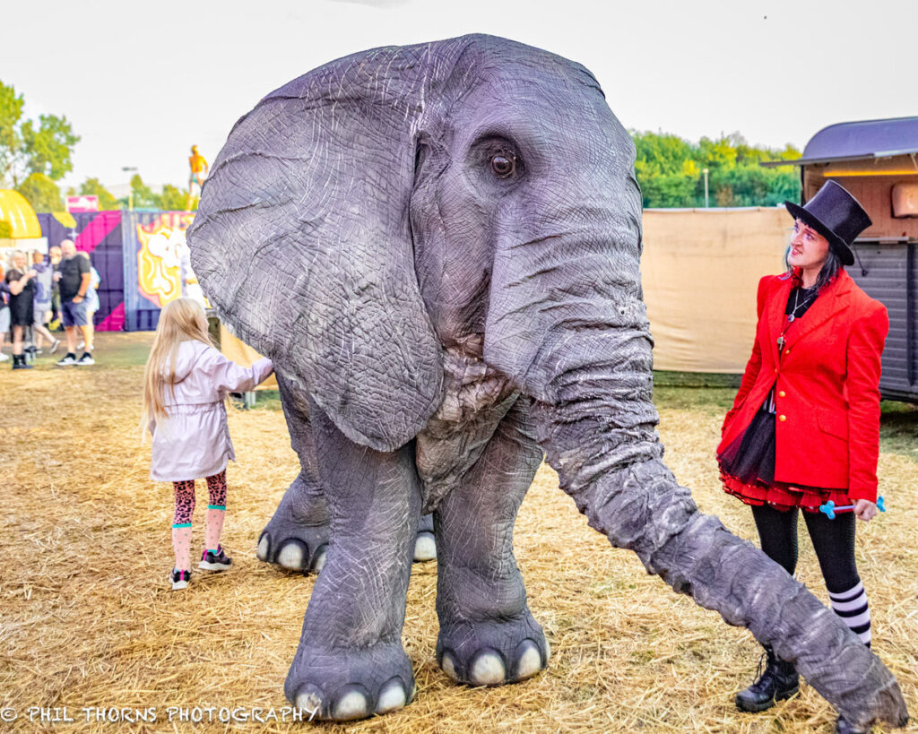 Elephant -RnR Circus 2026 - photo © Phil Thorns