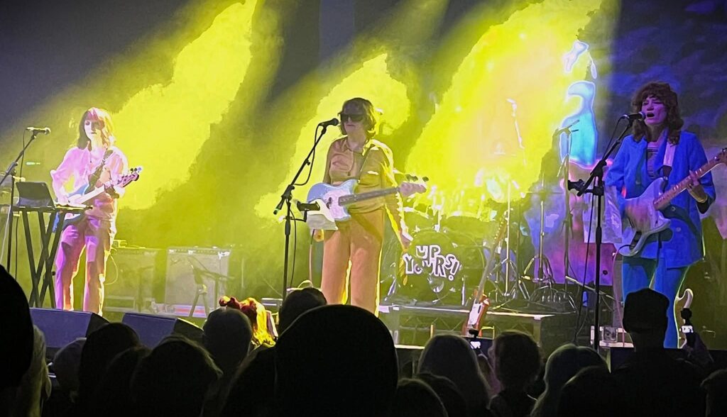 Gina Birch and The Unreasonables - photo by James Sherry