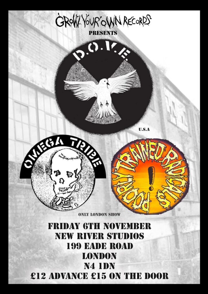 Poorly Trained Radicals Nov 2026 gig poster