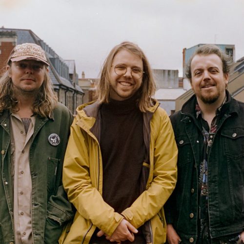 Toodles and the Hectic Pity